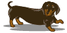 black and tan dachshund animation