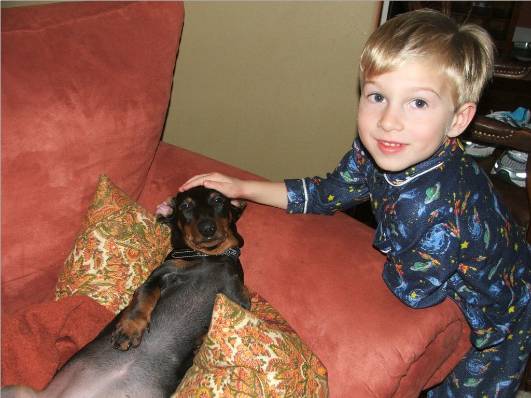 A black and tan standard dachshund pup and her boy