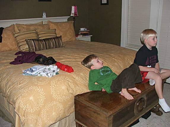 standard dachshund with boys