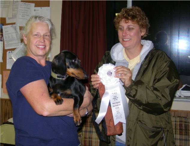 Standard Smooth Dachshund Field Trial Winner