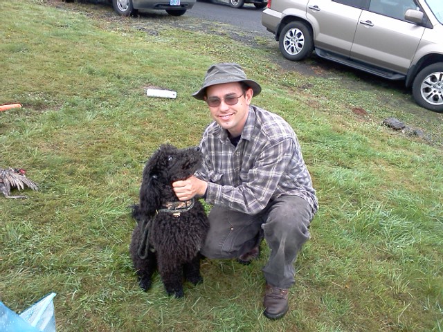 standard hunting poodles