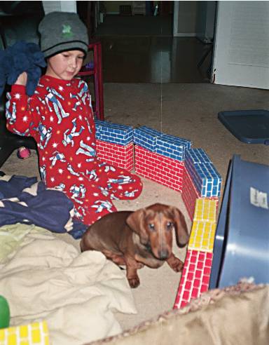 a dachshund and a boy build a fort