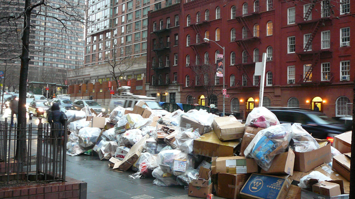 garbage_day_nyc.jpg