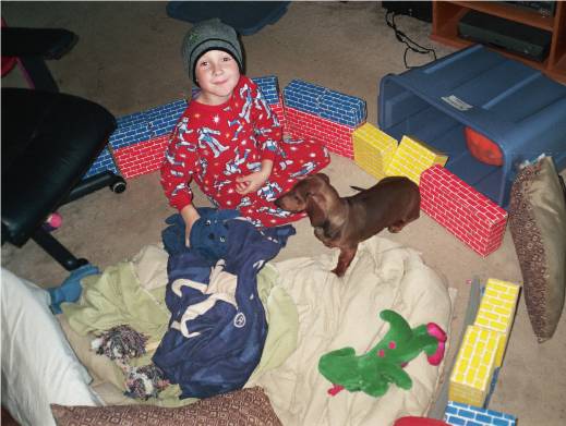 a dachshund and a boy build a fort