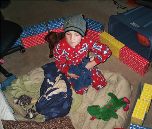 a dachshund and a boy build a fort