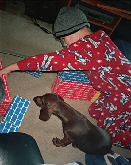 a dachshund and a boy build a fort